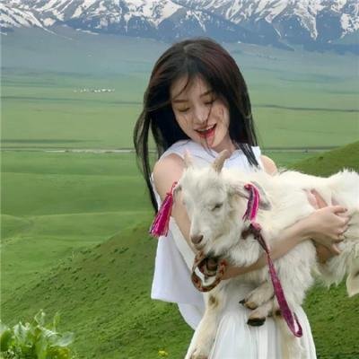 南太平洋之旅 在线观看