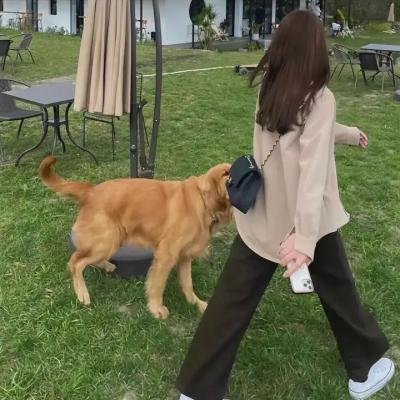 魔犬 在线观看